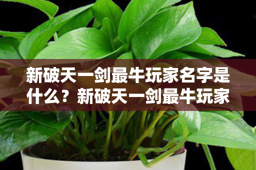 新破天一剑最牛玩家名字是什么?新破天一剑最牛玩家名字揭晓 新破天一剑最牛玩家名字是什么?新破天一剑最牛玩家名字揭晓