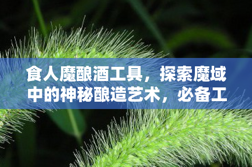 食人魔酿酒工具，探索魔域中的神秘酿造艺术，必备工具推荐