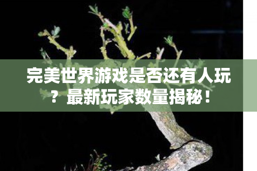 完美世界游戏是否还有人玩图片