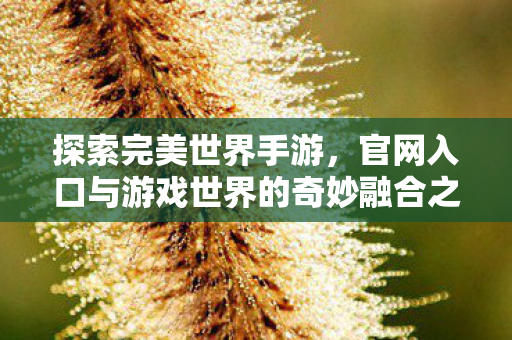 官网入口与游戏世界的奇妙融合之旅图片