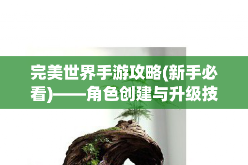 角色创建与升级技巧图片
