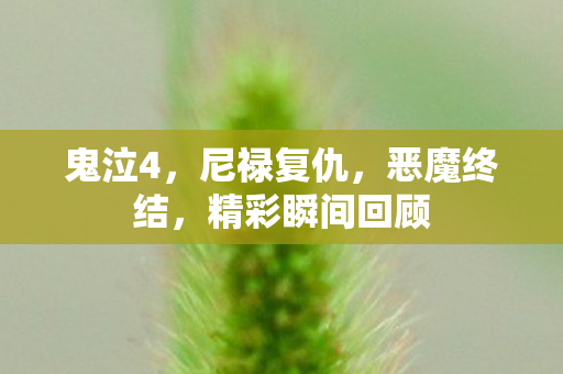 鬼泣4，尼禄复仇，恶魔终结，精彩瞬间回顾