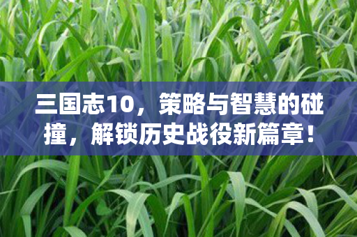 三国志10，策略与智慧的碰撞，解锁历史战役新篇章！