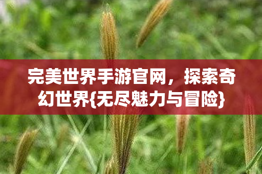 完美世界手游官网图片