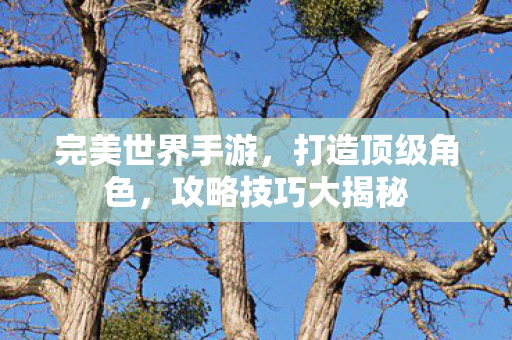 攻略技巧大揭秘图片