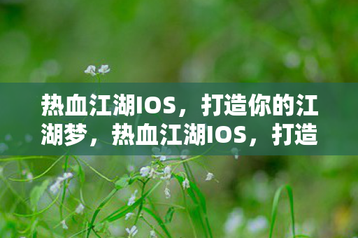 热血江湖IOS，打造你的江湖梦，热血江湖IOS，打造你的江湖梦之旅