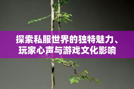 探索私服世界的独特魅力、玩家心声与游戏文化影响