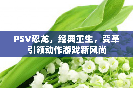 PSV忍龙，经典重生，变革引领动作游戏新风尚