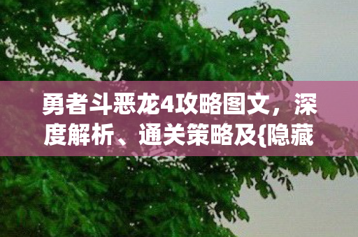 勇者斗恶龙4攻略图文图片