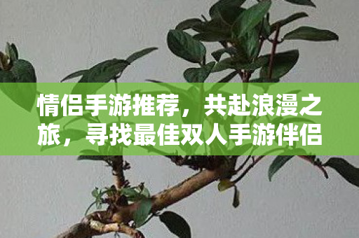 寻找最佳双人手游伴侣图片