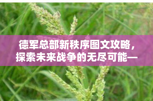 德军总部新秩序图文攻略图片