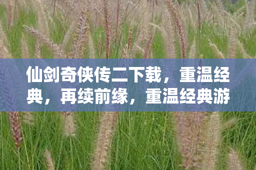 仙剑奇侠传二下载图片