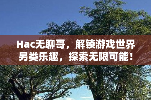 Hac无聊哥，解锁游戏世界另类乐趣，探索无限可能！
