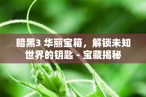 暗黑3 华丽宝箱，解锁未知世界的钥匙 - 宝藏揭秘