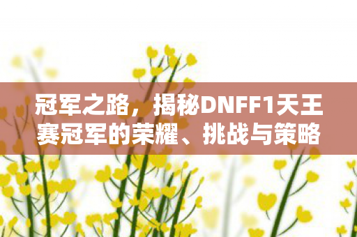 冠军之路，揭秘DNFF1天王赛冠军的荣耀、挑战与策略