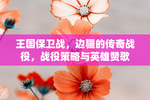 王国保卫战,边疆的传奇战役,战役策略与英雄赞歌 王国保卫战,边疆的传奇战役,战役策略与英雄赞歌