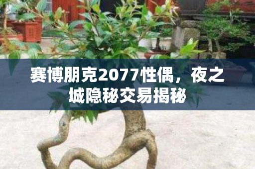 赛博朋克2077性偶,夜之城隐秘交易揭秘 赛博朋克2077性偶,夜之城隐秘交易揭秘