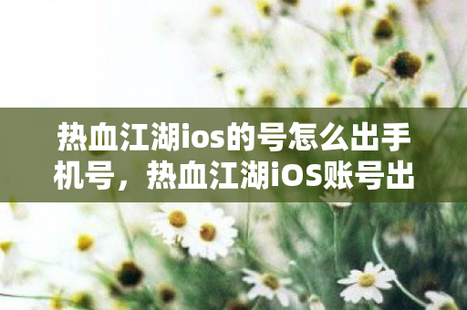 热血江湖ios的号怎么出手机号，热血江湖iOS账号出售，如何安全转移手机号？