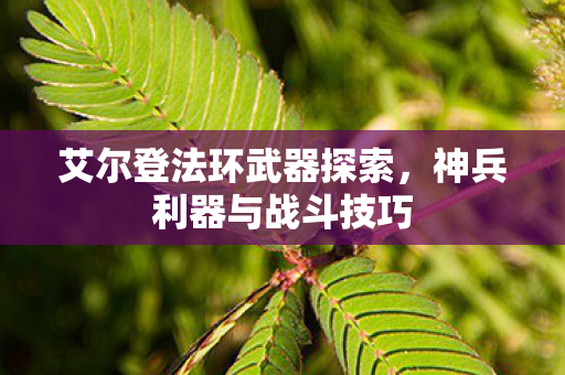 艾尔登法环武器探索,神兵利器与战斗技巧 艾尔登法环武器探索,神兵利器与战斗技巧