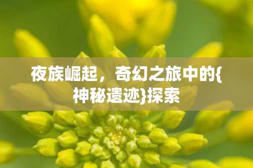 夜族崛起，奇幻之旅中的{神秘遗迹}探索