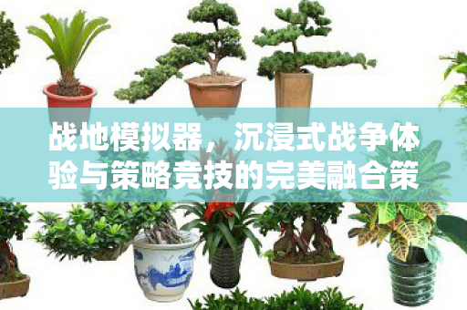 战地模拟器，沉浸式战争体验与策略竞技的完美融合策略竞技