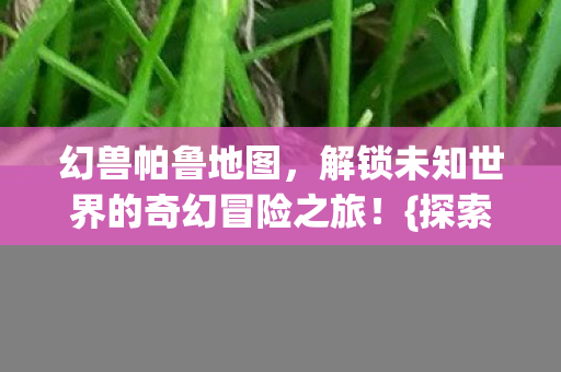 幻兽帕鲁地图，解锁未知世界的奇幻冒险之旅！{探索}