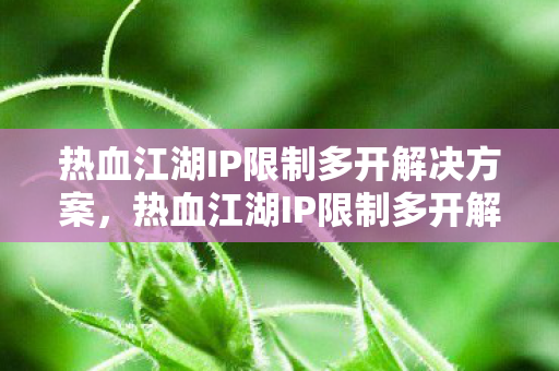 热血江湖IP限制多开解决方案，热血江湖IP限制多开解决方案