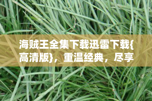 海贼王全集下载迅雷下载{高清版}，重温经典，尽享无限冒险
