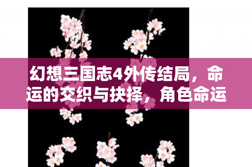 幻想三国志4外传结局,命运的交织与抉择,角色命运何去何从? 幻想三国志4外传结局,命运的交织与抉择,角色命运何去何从?