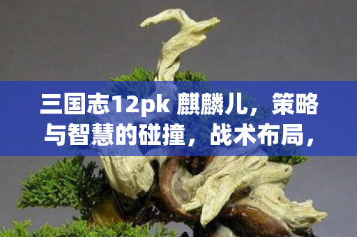 三国志12pk 麒麟儿,策略与智慧的碰撞,战术布局,智谋对决! 三国志12pk 麒麟儿,策略与智慧的碰撞,战术布局,智谋对决!