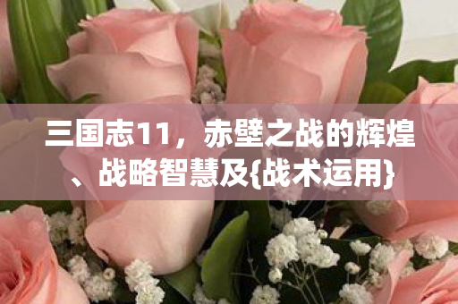 三国志11,赤壁之战的辉煌、战略智慧及{战术运用} 三国志11,赤壁之战的辉煌、战略智慧及{战术运用}