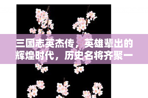 三国志英杰传，英雄辈出的辉煌时代，历史名将齐聚一堂