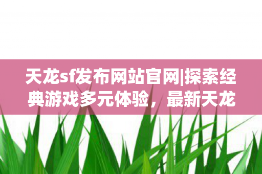 天龙sf发布网站官网图片