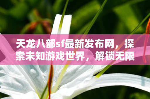 天龙八部sf最新发布网图片