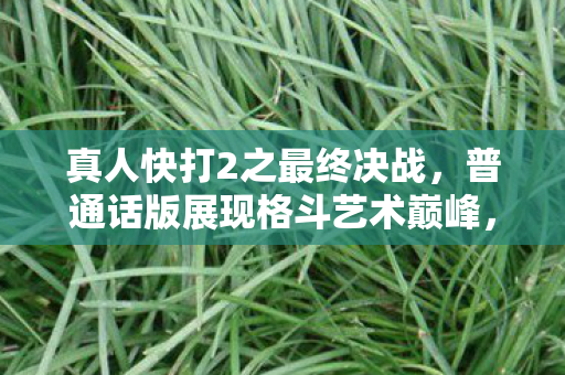 普通话版展现格斗艺术巅峰图片