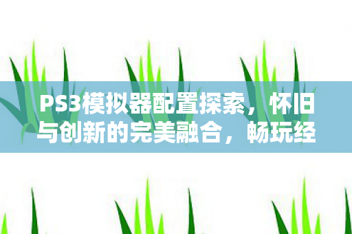PS3模拟器配置探索图片