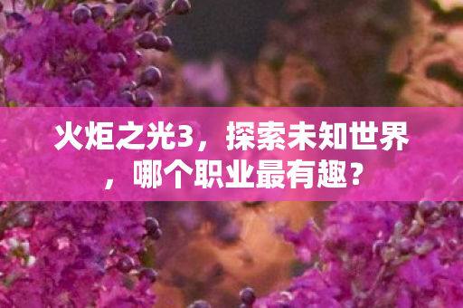火炬之光3,探索未知世界,哪个职业最有趣? 火炬之光3,探索未知世界,哪个职业最有趣?