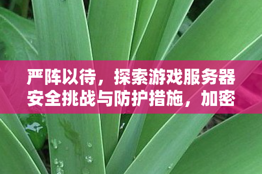 严阵以待,探索游戏服务器安全挑战与防护措施,加密技术是关键 严阵以待,探索游戏服务器安全挑战与防护措施,加密技术是关键