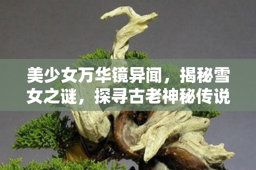 美少女万华镜异闻，揭秘雪女之谜，探寻古老神秘传说