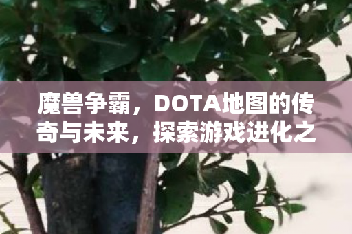 魔兽争霸,DOTA地图的传奇与未来,探索游戏进化之路 魔兽争霸,DOTA地图的传奇与未来,探索游戏进化之路