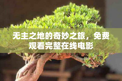无主之地的奇妙之旅,免费观看完整在线电影 无主之地的奇妙之旅,免费观看完整在线电影