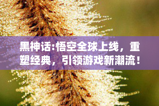 黑神话:悟空全球上线,重塑经典,引领游戏新潮流!{最新上线资讯} 黑神话:悟空全球上线,重塑经典,引领游戏新潮流!{最新上线资讯}