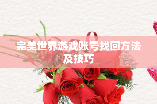 完美世界游戏账号找回方法及技巧图片