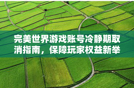 完美世界游戏账号冷静期取消指南图片