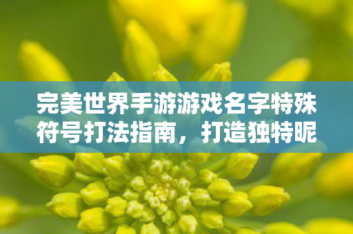 旨在吸引用户了解如何输入特殊符号以创建独特的游戏昵称图片