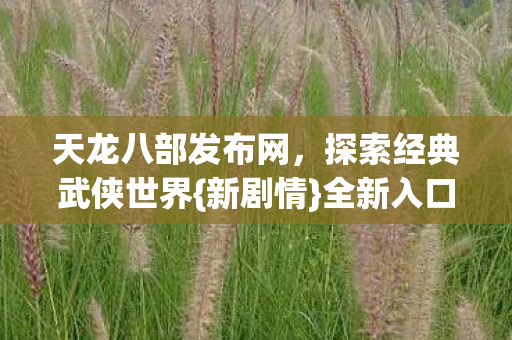 探索经典武侠世界图片