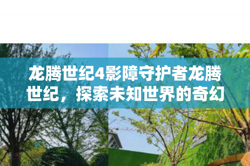 龙腾世纪4影障守护者龙腾世纪，探索未知世界的奇幻冒险，龙腾世纪4影障守护者，探索未知世界的奇幻冒险