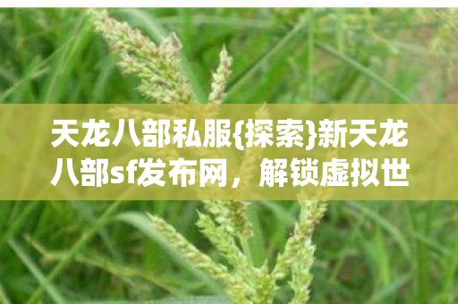 解锁虚拟世界的奥秘之旅图片