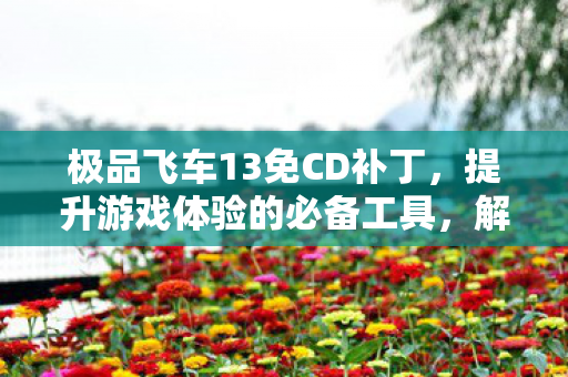 极品飞车13免CD补丁图片