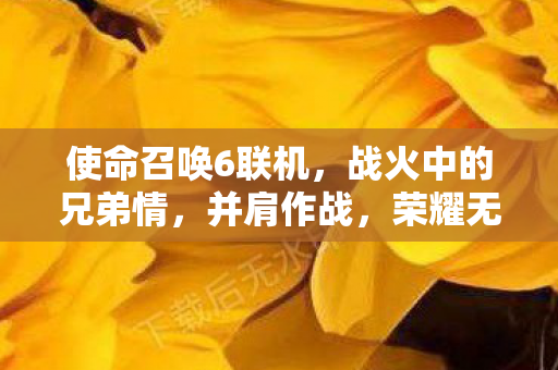 使命召唤6联机，战火中的兄弟情，并肩作战，荣耀无限！